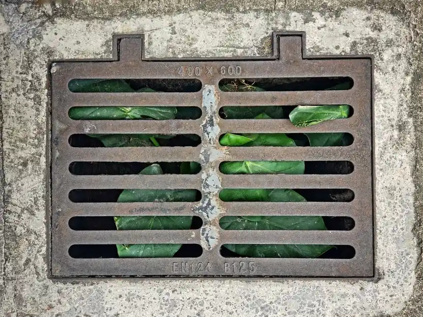 What to Do When Your Sewer Backs Up in Royal Oak