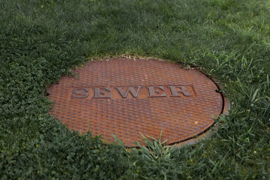 Local Sewer Line Repair team in Royal Oak